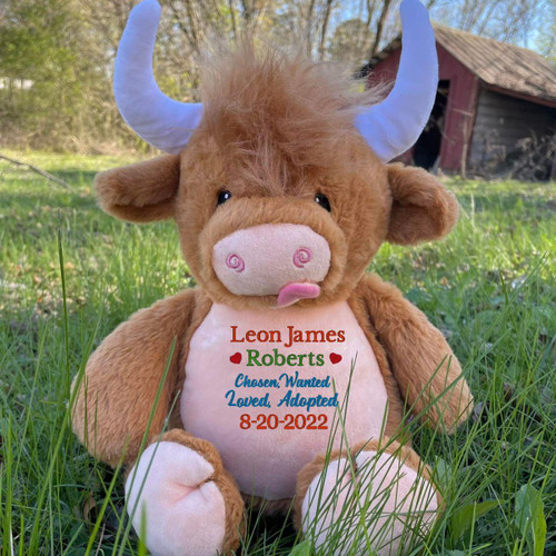 Cubbie Stuffed Animals Adoption Theme 