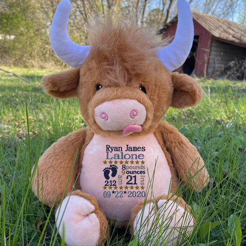 Cubbie Birth Info Stuffed Animal 