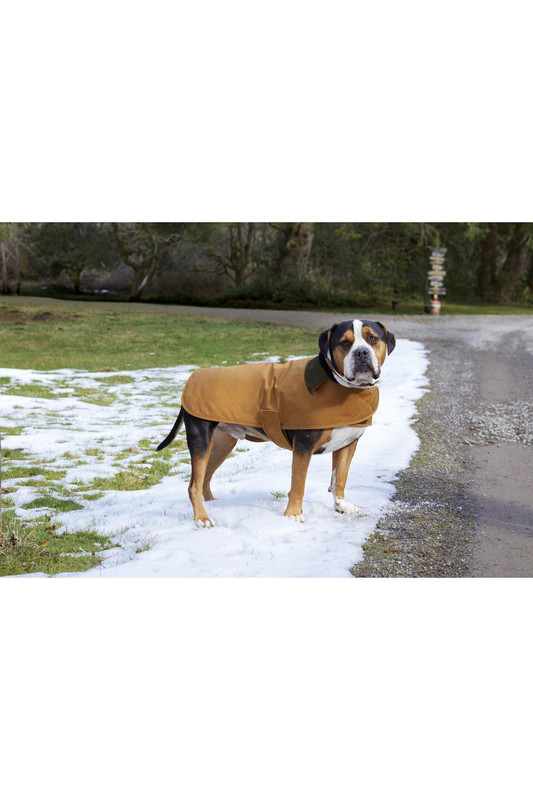  Carhartt™️ Chore Coat for Dogs 