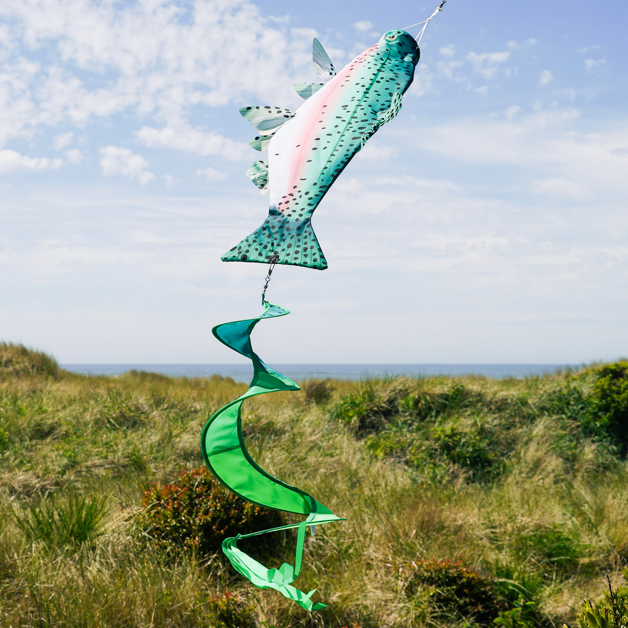 Rainbow Trout Spinner Tail - Kite Garden