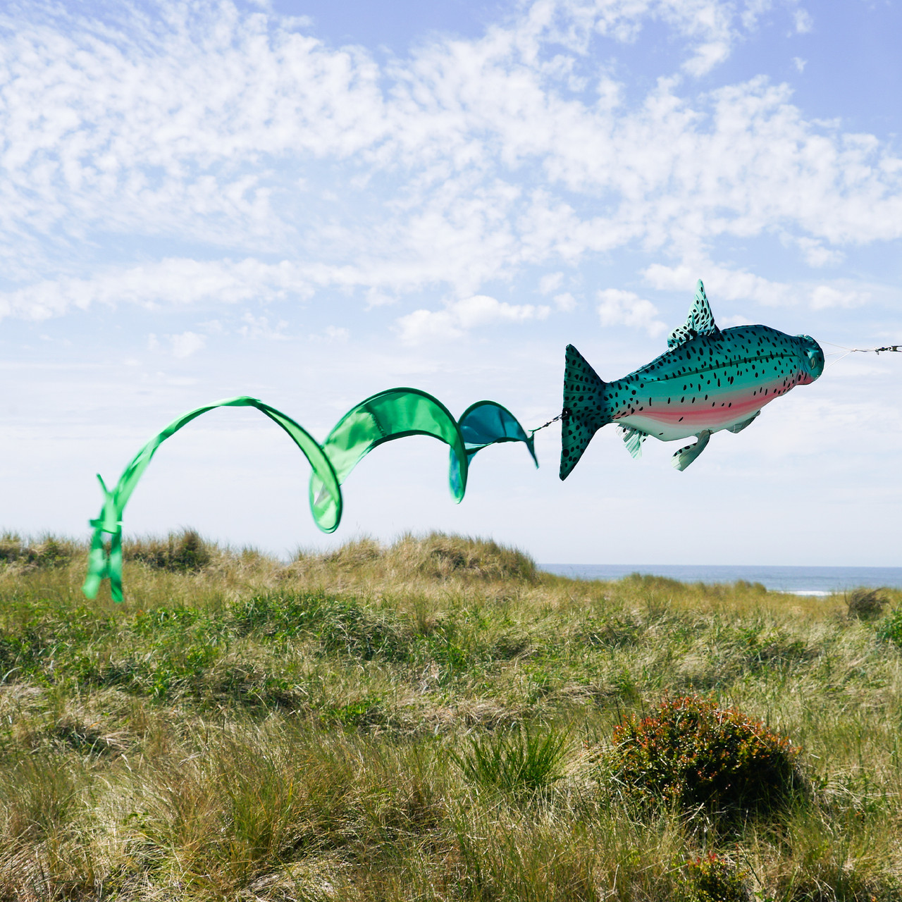 Rainbow Trout Spinner Tail - Kite Garden