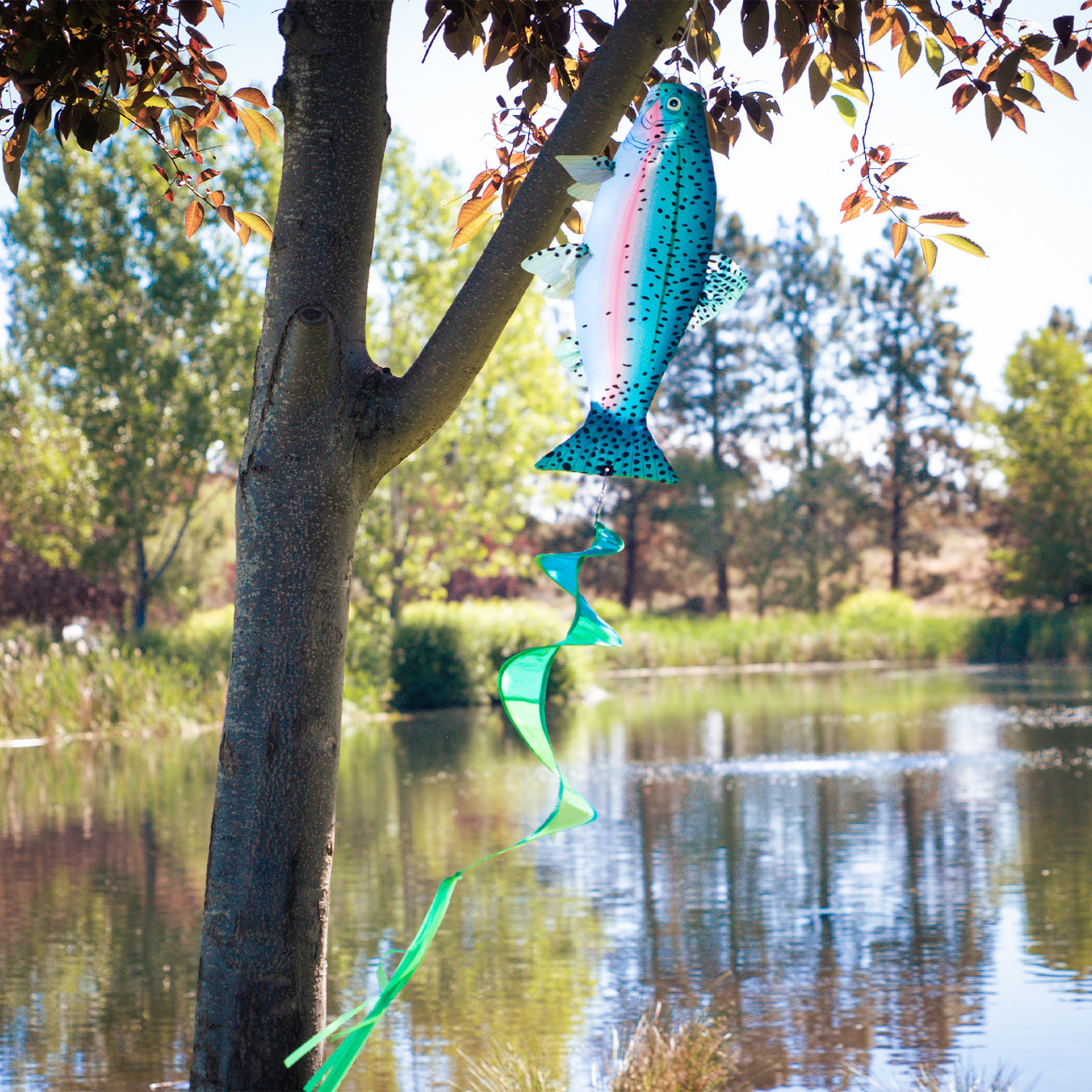 Rainbow Trout Spinner Tail - Kite Garden