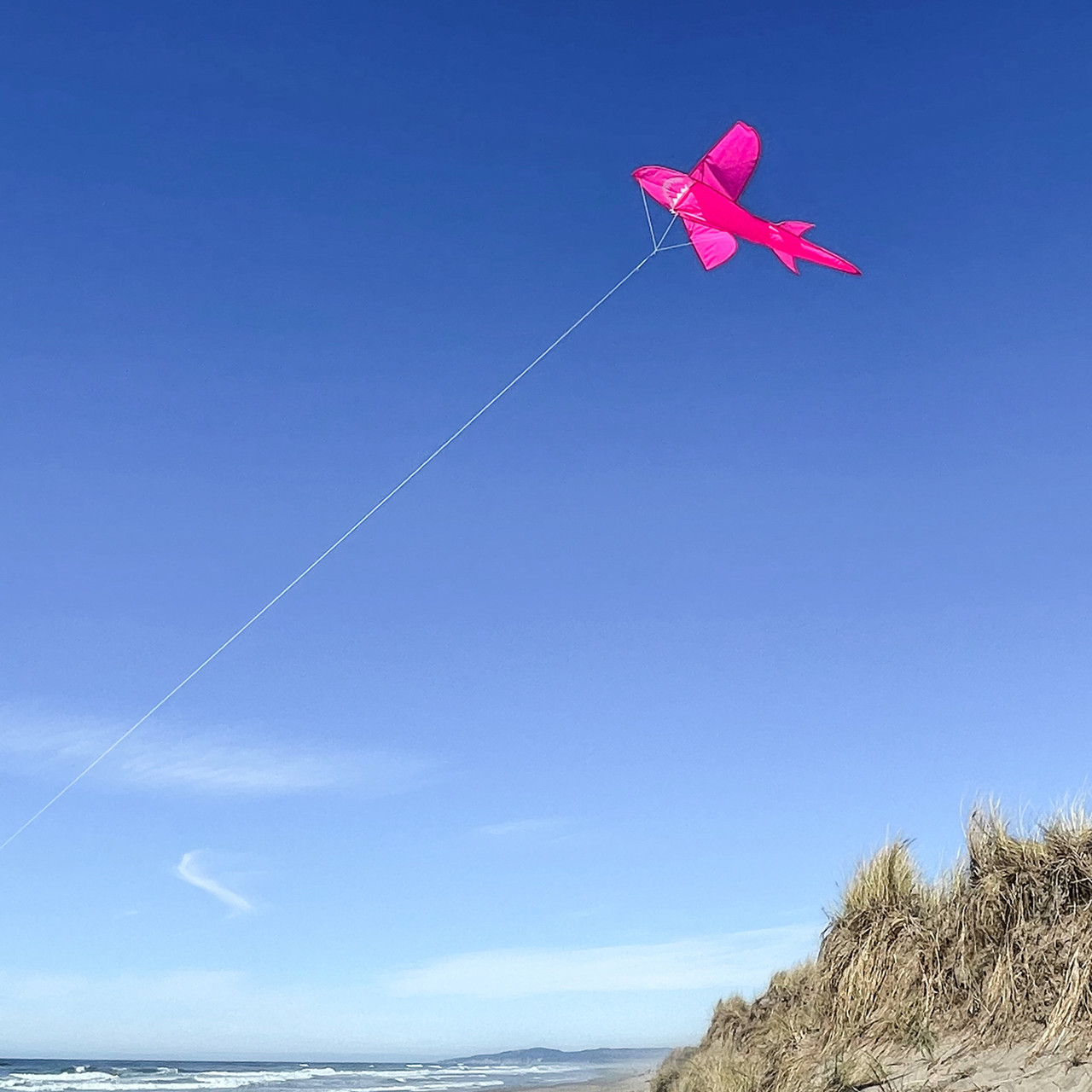Pink Triangle Kite 5 foot 3D Pink Shark Kite