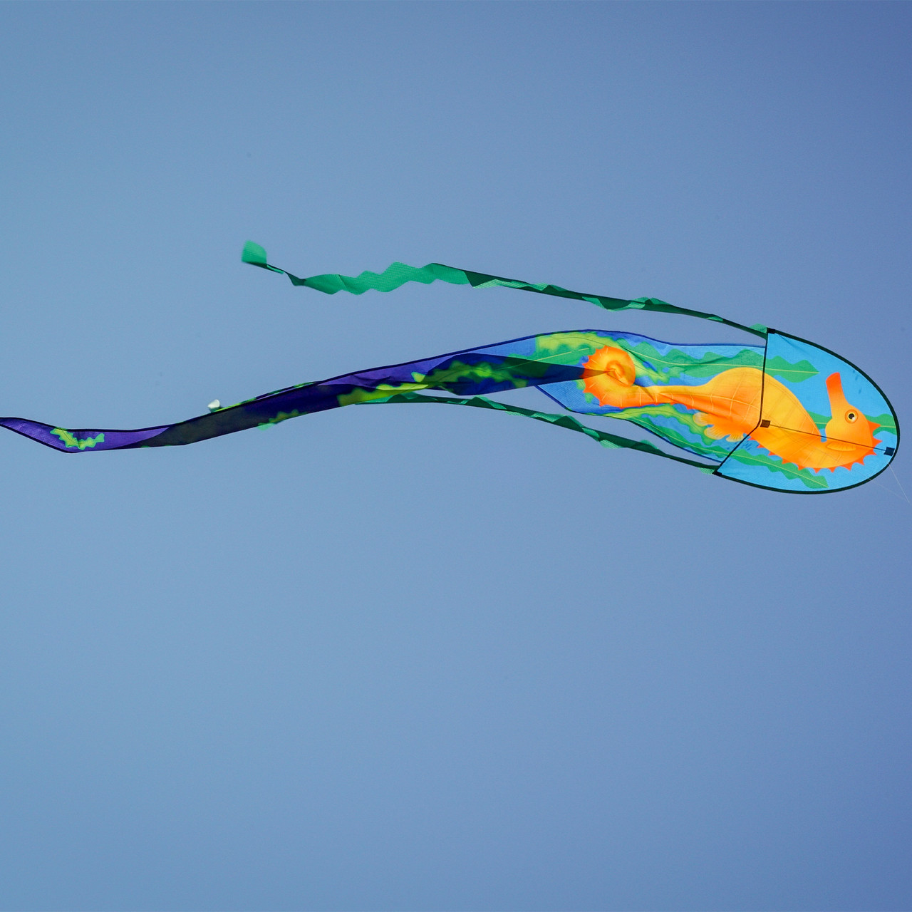 22" Seahorse Dancing Dragon Kite