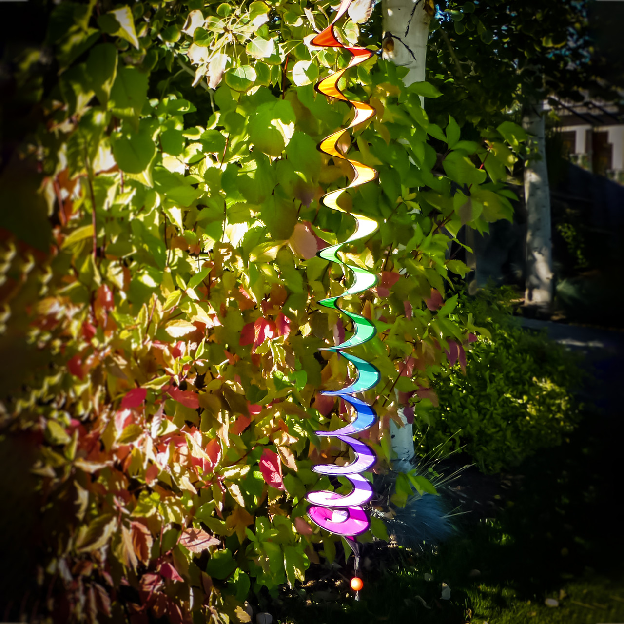 48-inch Rainbow Thin Curlie Wind Spinner - Kite Garden