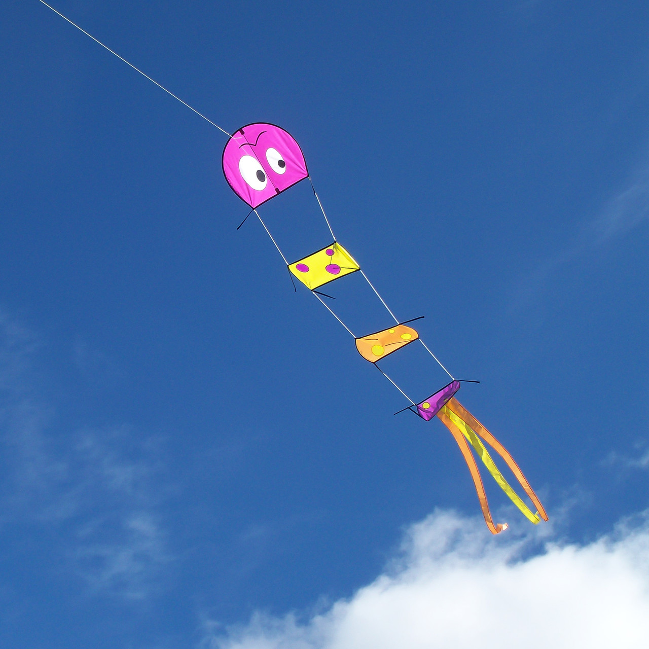 Caterpillar Kite Kite Garden