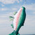 Rainbow Trout Spinner Tail