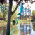 Rainbow Trout Spinner Tail