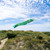 36-inch Green Koi Windsock
