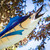 36-inch Marlin Windsock