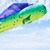 Dorado 48-inch Fish Windsock