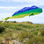 Dorado 48-inch Fish Windsock