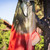 Sockeye Salmon 48-inch Fish Windsock
