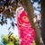 24-inch Pink Koi Windsock