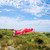 36-inch Pink Koi Windsock