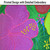 Tropical Flowers 40-inch Windsock