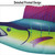 Sailfish 50-inch Fish Windsock
