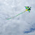 Manu Green 72-inch Delta Kite