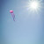 22-inch Jellyfish Dancing Dragon Kite