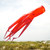40-inch Octopus 3D Windsock