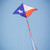 46-inch Texas Delta Kite