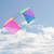 Iridescent Double Box Kite
