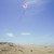 Butterfly 30-inch Diamond Kite
