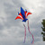 Patriot Jet Kite