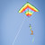 Rainbow Stripe Delta Kite with Spinning Tail