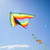 Rainbow Stripe Delta Kite with Spinning Tail
