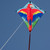 Parrot 30-inch Diamond Kite 