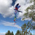 Dragonfly Theme Twister Wind Spinner