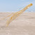 Gold 51-inch Mylar Windsock Gold 51-inch Mylar Windsock