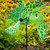 Sea Turtle Baby Whirligig Spinner