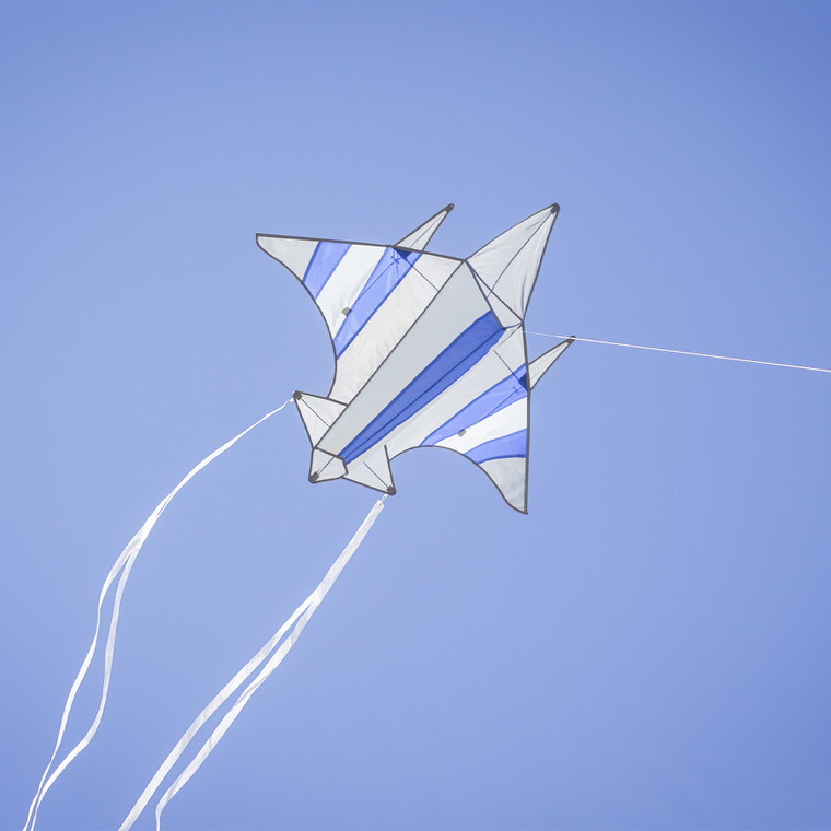 Fighter Jet Kite