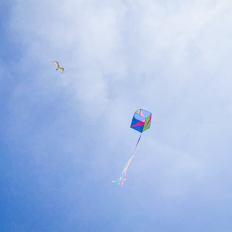 Strike Single Box Kite