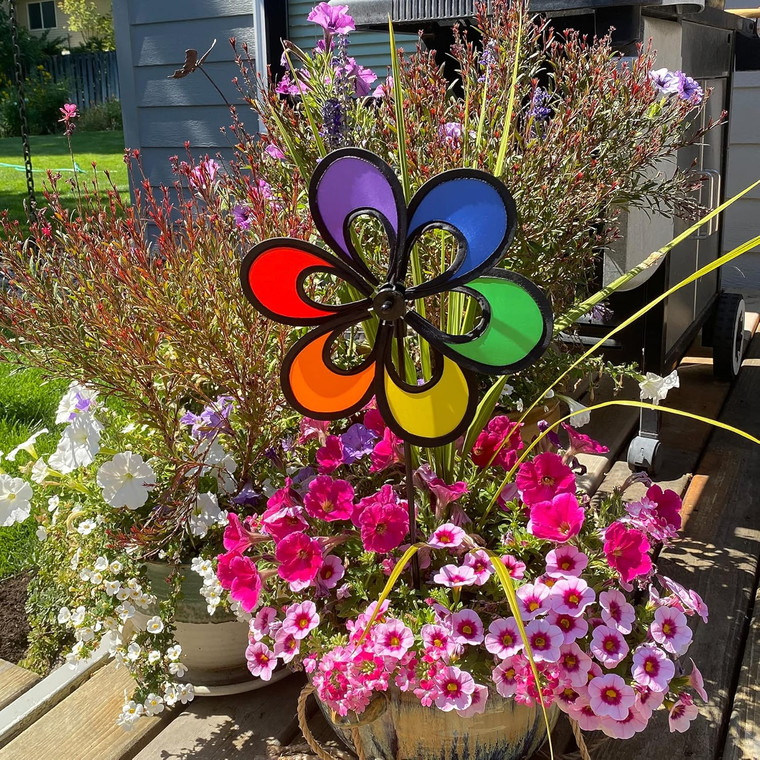 10-inch Rainbow Windee Wheelz Spinner