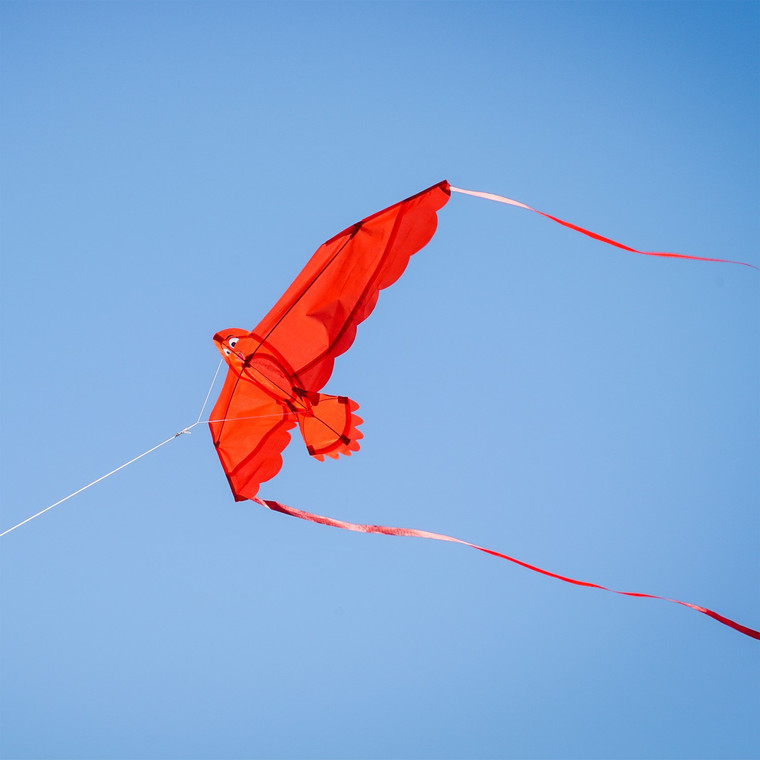 40" Red Bitty Bird Kite