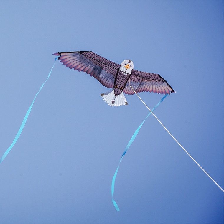 40" Bald Eagle Bitty Bird Kite