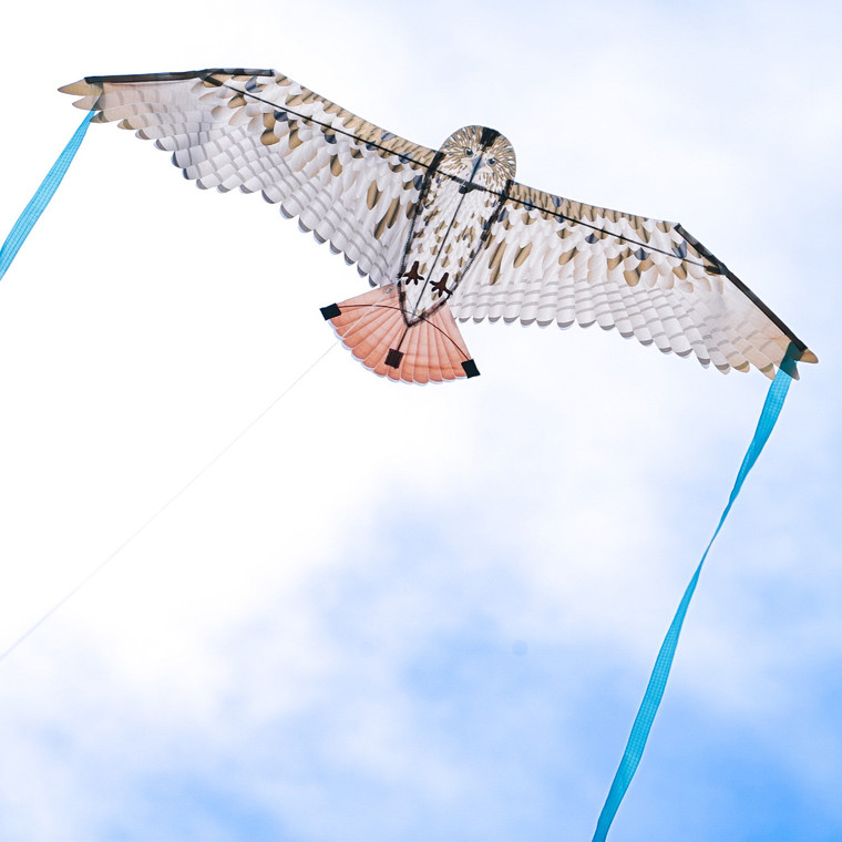 40" Red-Tailed Hawk Bitty Bird Kite