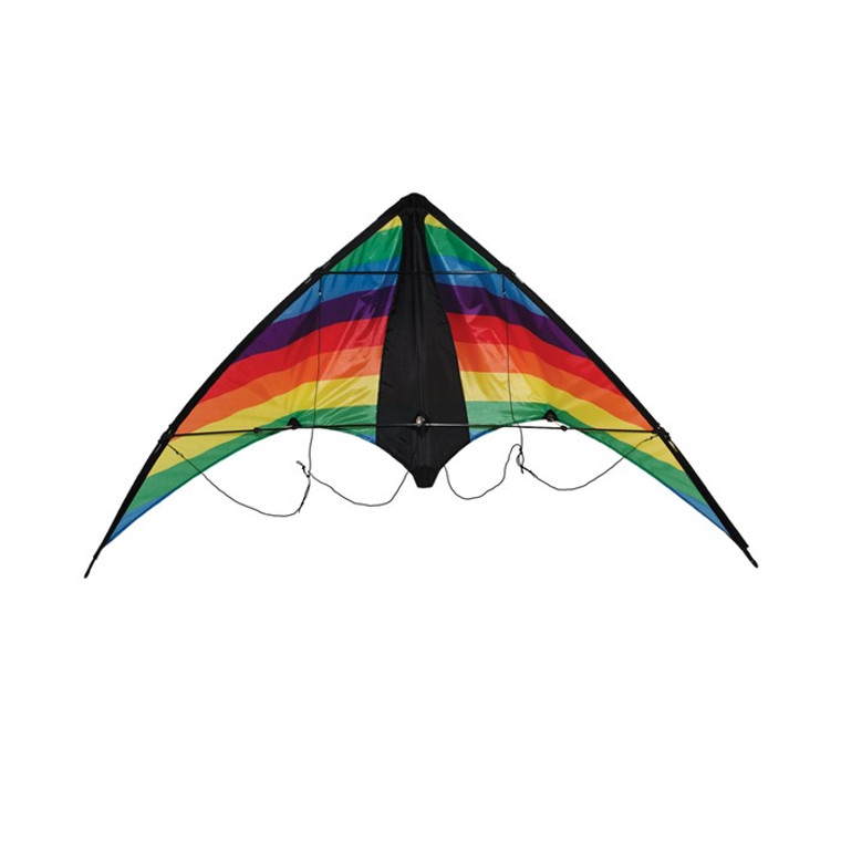 Dual Control Sport - 48" Rainbow Stripe Kite