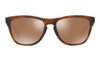Oakley Frogskins Sunglasses Matte Tort Prizm Tungsten