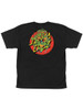 Santa Cruz TMNT Turtle Power Tshirt Youth Black