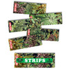 MOB HighTimes Collage Grip Stips Green 5pcs 9x3.25