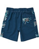 Billabong D Bah Layback Trunks Mens Navy