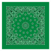 Bandanna Company Bandana Green Paisley Onesize