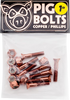 PIG GOLD PHILLPS HARDWARE SET 1" COPPER