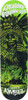 CREATURE KIMBEL VOODOO ISLE SKATEBOARD DECK-8.8