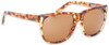 Ashbury Daytripper Shades Sunglasses Brown Tortoise OneSize