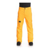 DC Dealer Snow Pants Mens Zinnia